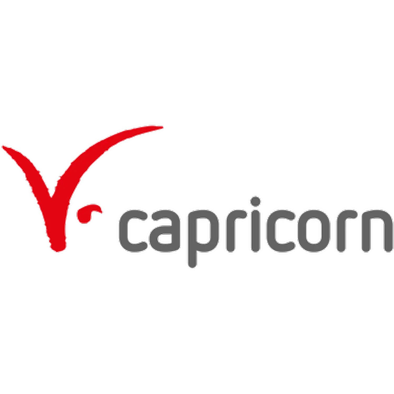 Basketball Akademie Bremen Süd - Partner Logo -Capricorn Consulting GmbH