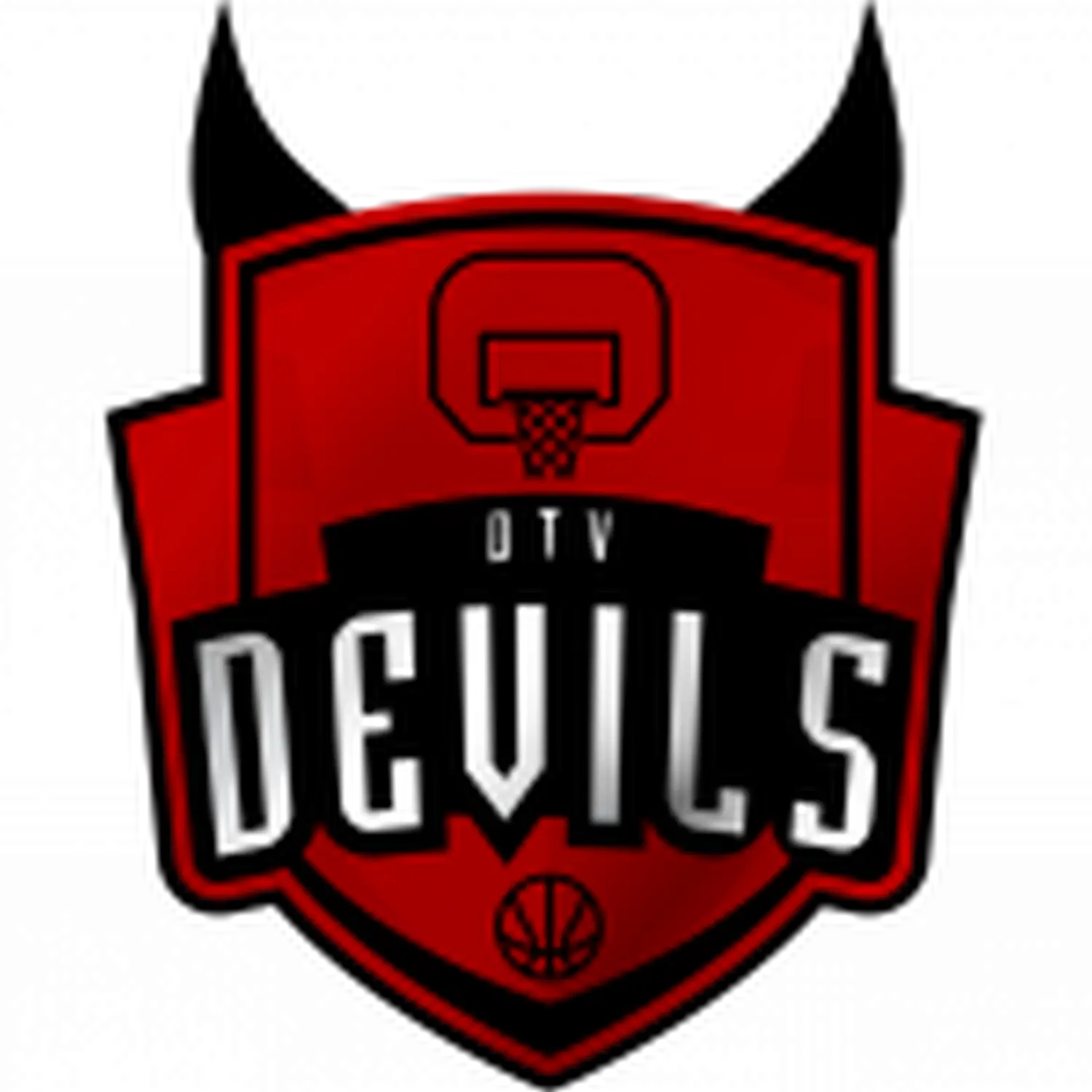 Basketball Akademie Bremen Süd - Partner - DTV Devils Delmenhorst